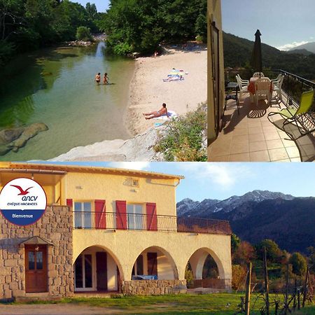 95M2 Au Calme A 25Mn Ajaccio, Plages, Linge Inclus Parking Ok Ucciani Exteriör bild