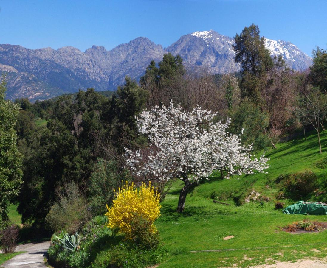 95M2 Au Calme A 25Mn Ajaccio, Plages, Linge Inclus Parking Ok Ucciani Exteriör bild