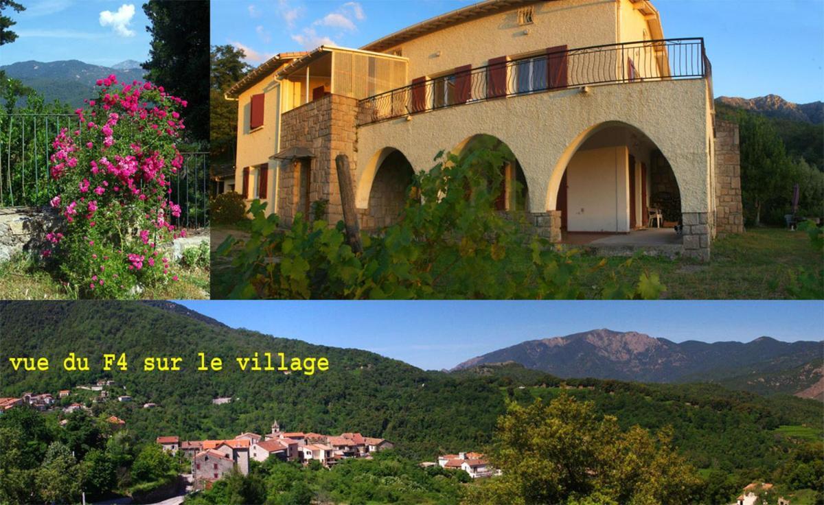 95M2 Au Calme A 25Mn Ajaccio, Plages, Linge Inclus Parking Ok Ucciani Exteriör bild