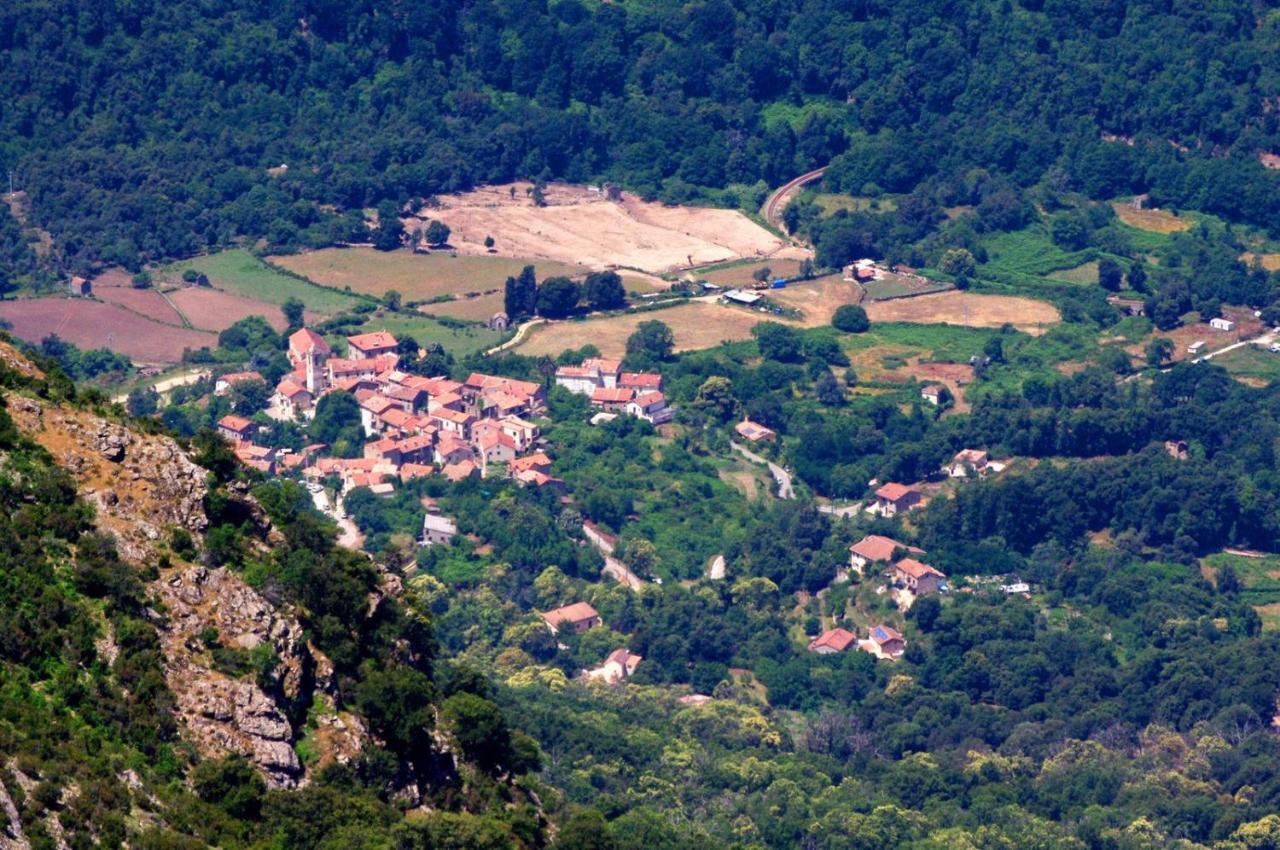 95M2 Au Calme A 25Mn Ajaccio, Plages, Linge Inclus Parking Ok Ucciani Exteriör bild