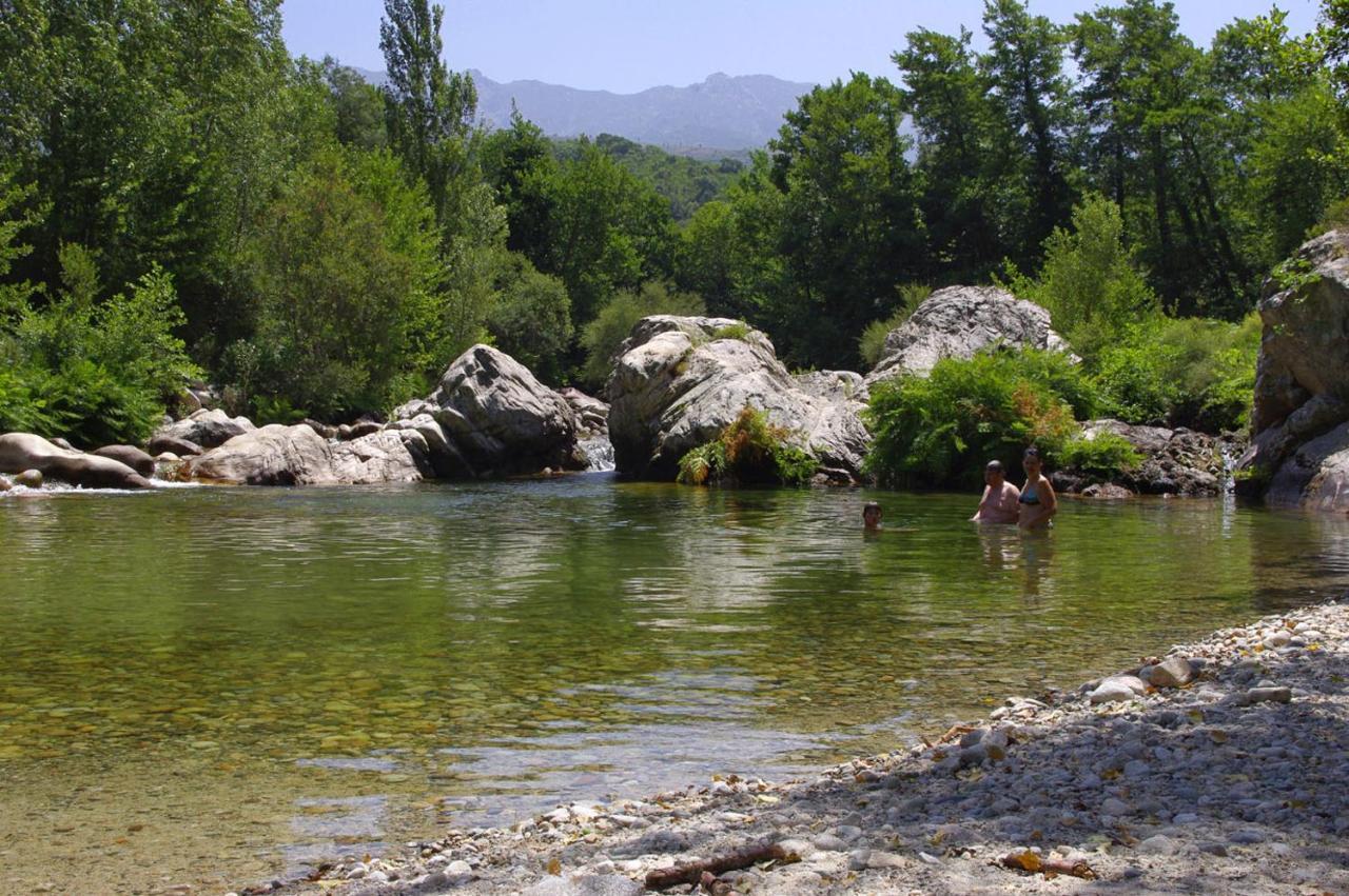 95M2 Au Calme A 25Mn Ajaccio, Plages, Linge Inclus Parking Ok Ucciani Exteriör bild