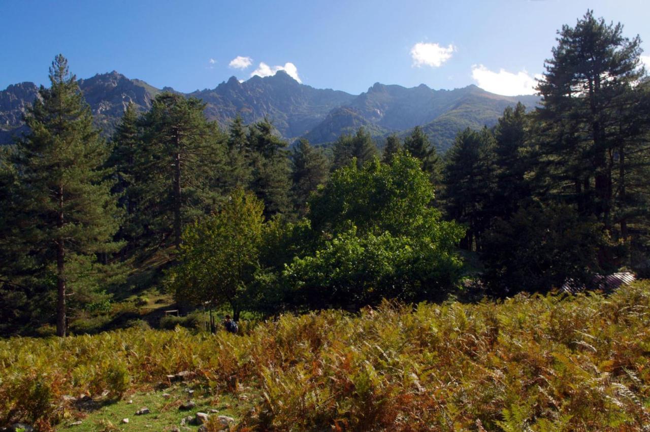 95M2 Au Calme A 25Mn Ajaccio, Plages, Linge Inclus Parking Ok Ucciani Exteriör bild
