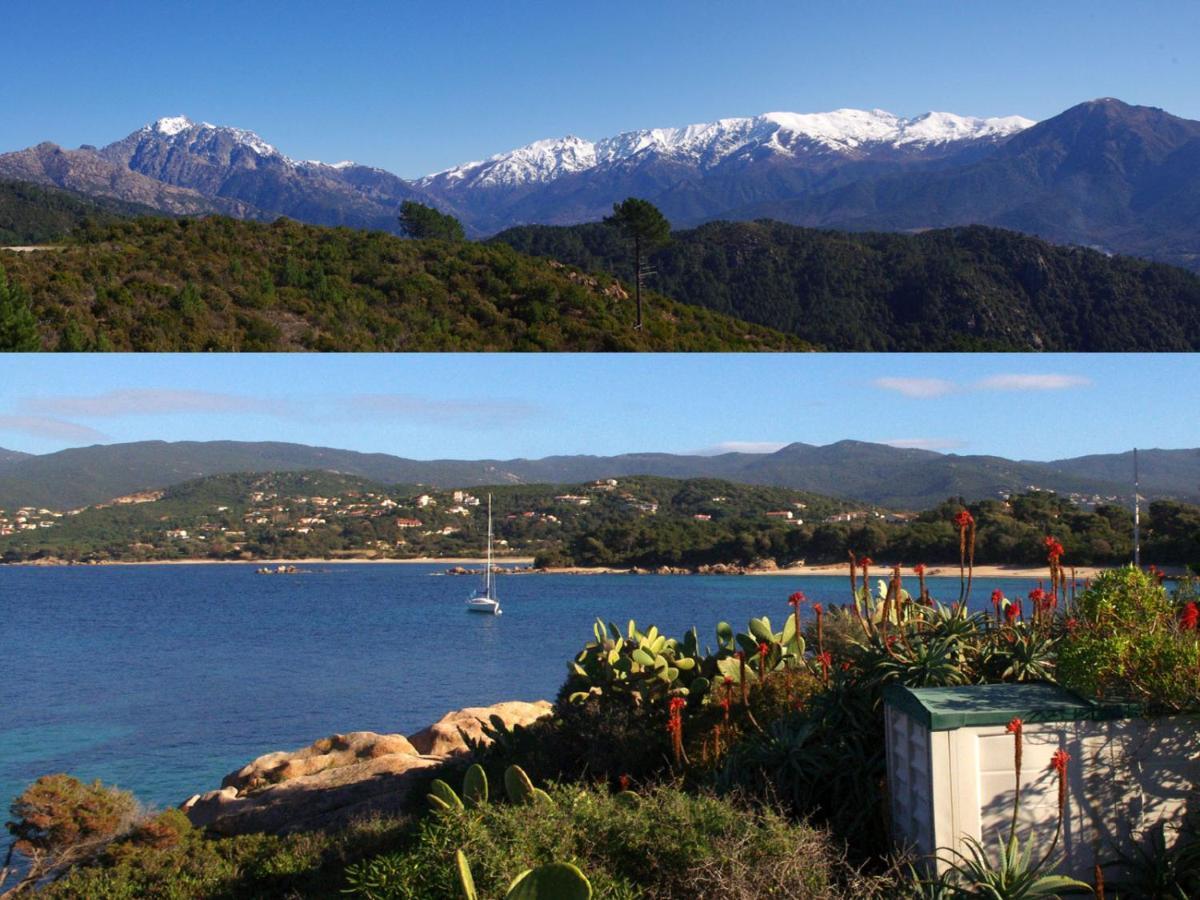 95M2 Au Calme A 25Mn Ajaccio, Plages, Linge Inclus Parking Ok Ucciani Exteriör bild
