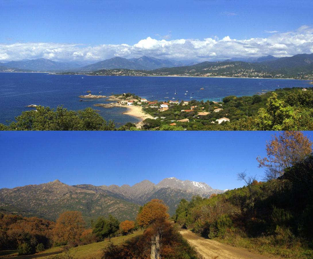 95M2 Au Calme A 25Mn Ajaccio, Plages, Linge Inclus Parking Ok Ucciani Exteriör bild