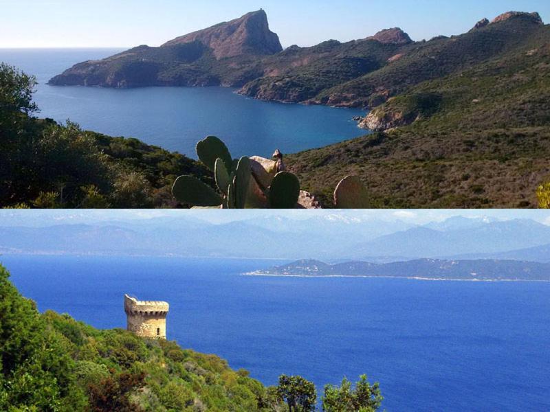 95M2 Au Calme A 25Mn Ajaccio, Plages, Linge Inclus Parking Ok Ucciani Exteriör bild
